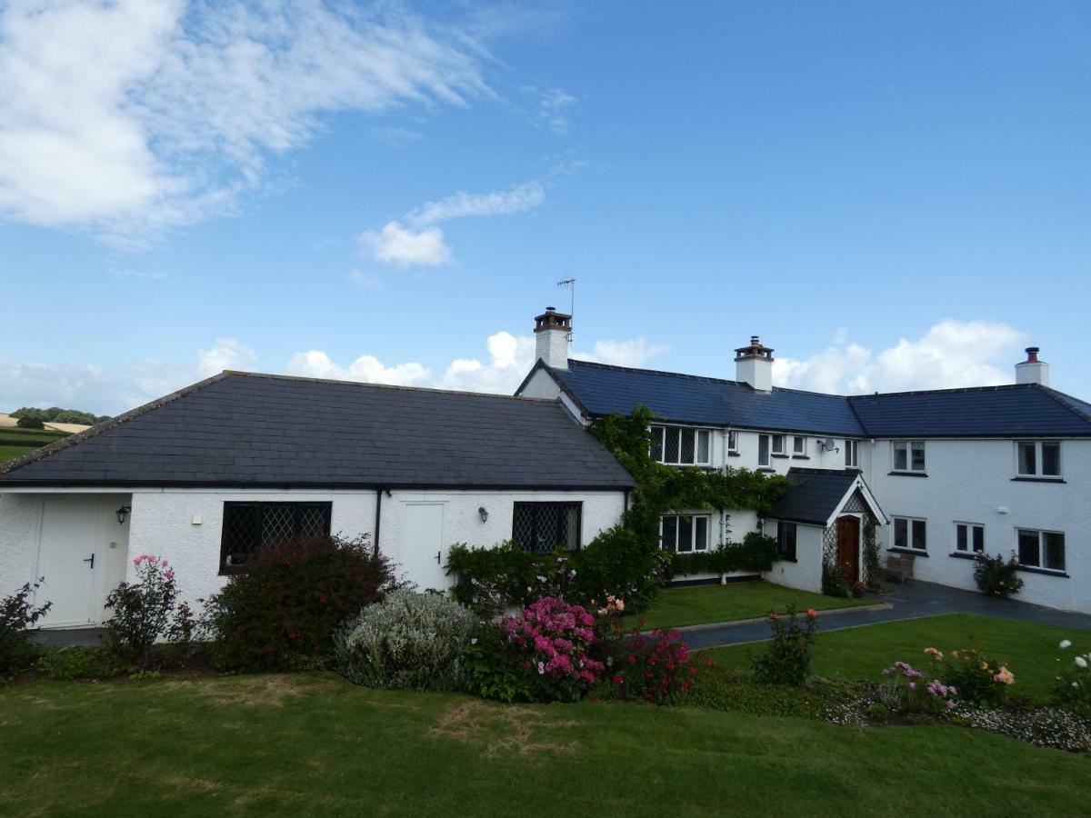 Bournestream Bed & Breakfast Withycombe Eksteriør bilde