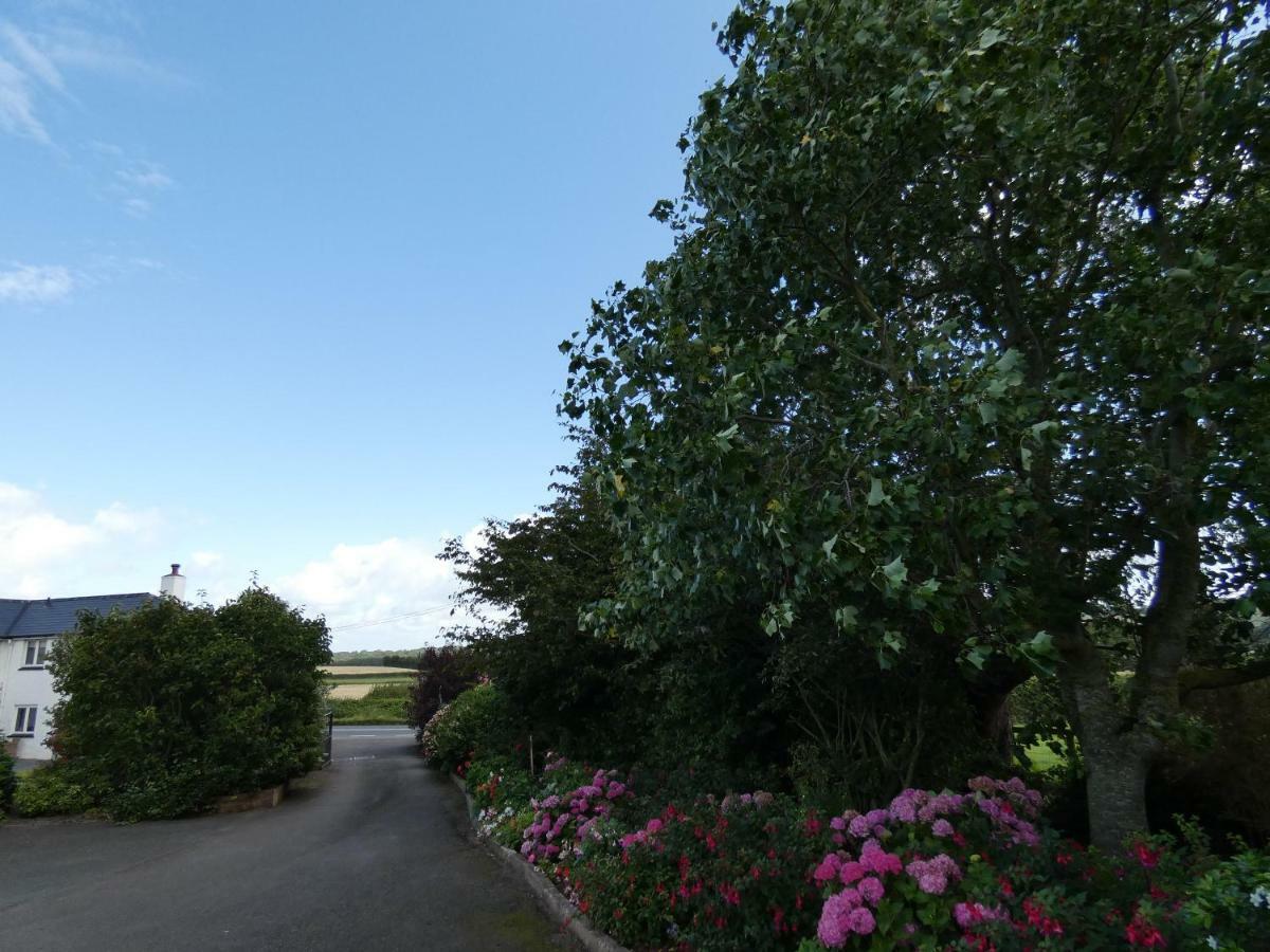 Bournestream Bed & Breakfast Withycombe Eksteriør bilde