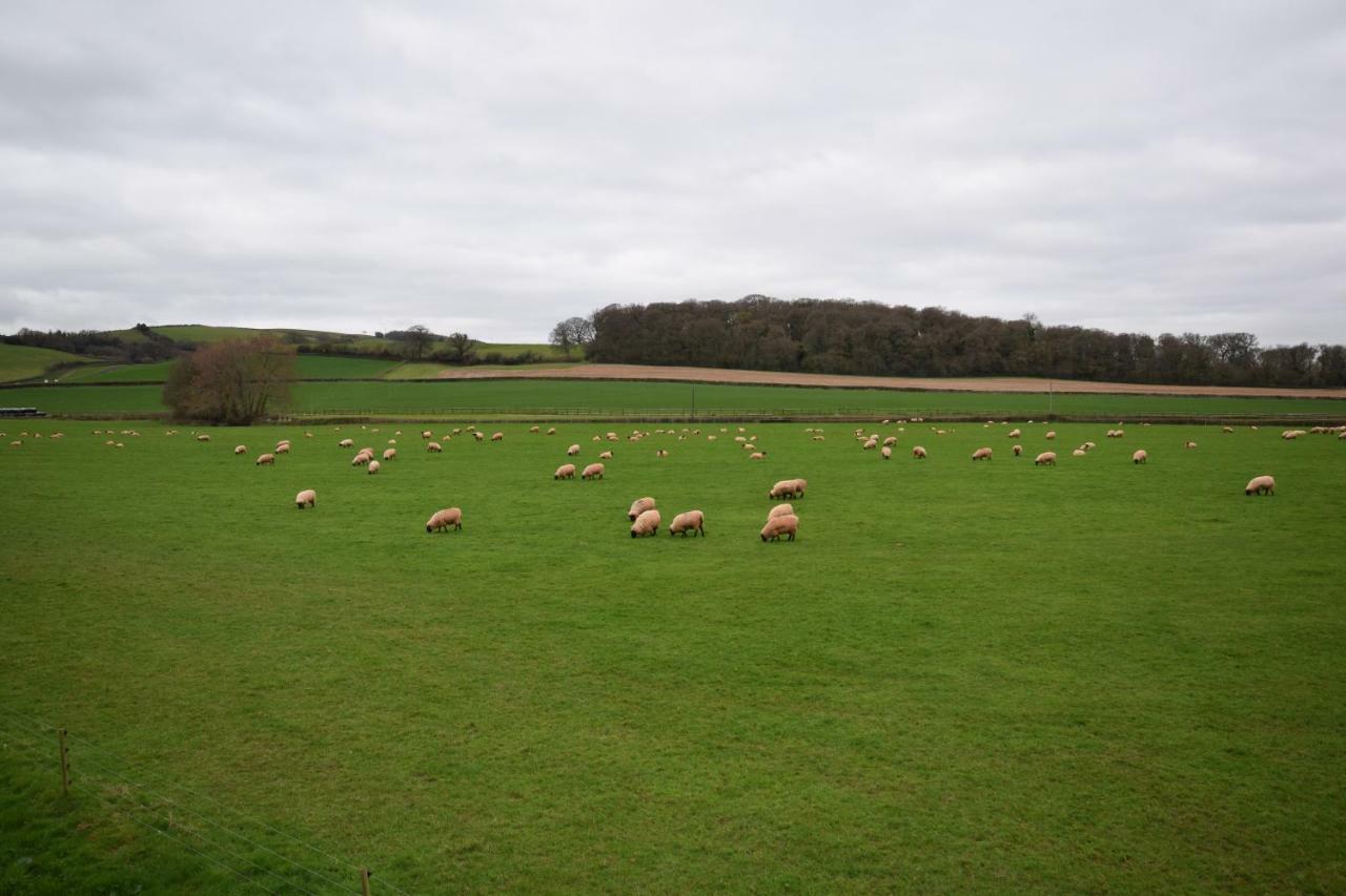 Bournestream Bed & Breakfast Withycombe Eksteriør bilde